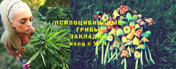 шишки Инсар