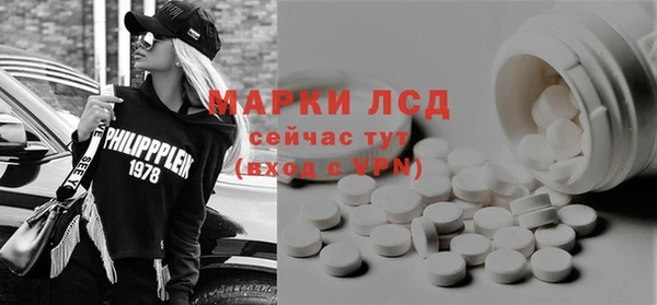 гашик Аркадак