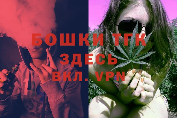 гашик Аркадак