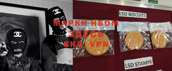 гашик Аркадак