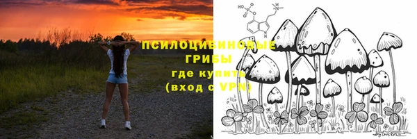 гашик Аркадак