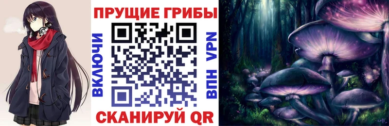 Галлюциногенные грибы GOLDEN TEACHER Сусуман