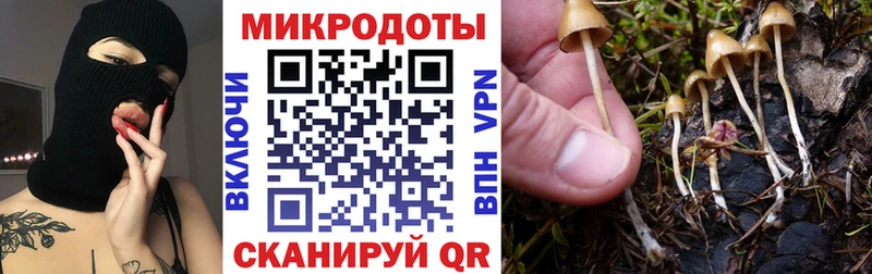 Псилоцибиновые грибы GOLDEN TEACHER  Сусуман 